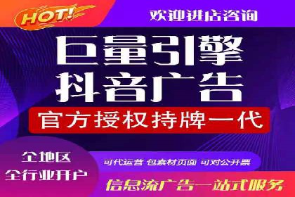 SEM运营公司成功案例解析