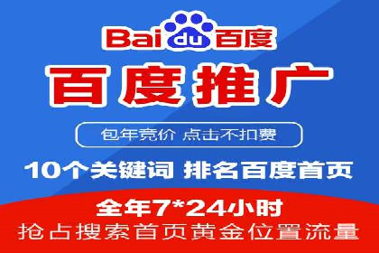电商行业SEM运营的挑战与成功案例